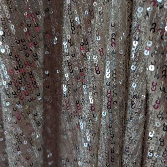 EUC Champagne Sequin Midi Skirt - Picture 5 of 6